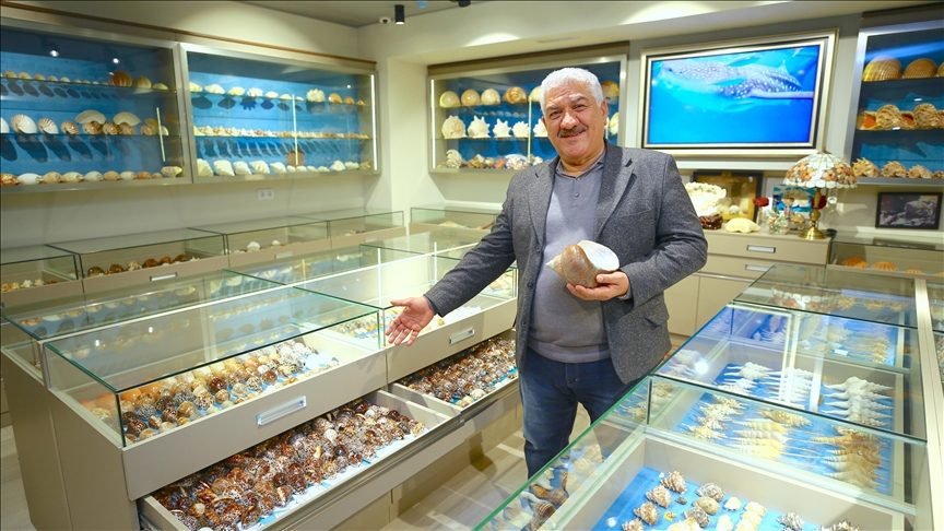 Камандар Насибов в шоуруме коллекции, Баку